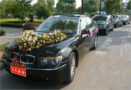 合肥明珠汽車租賃公司 專業汽車出租，暢行廬州安心之選